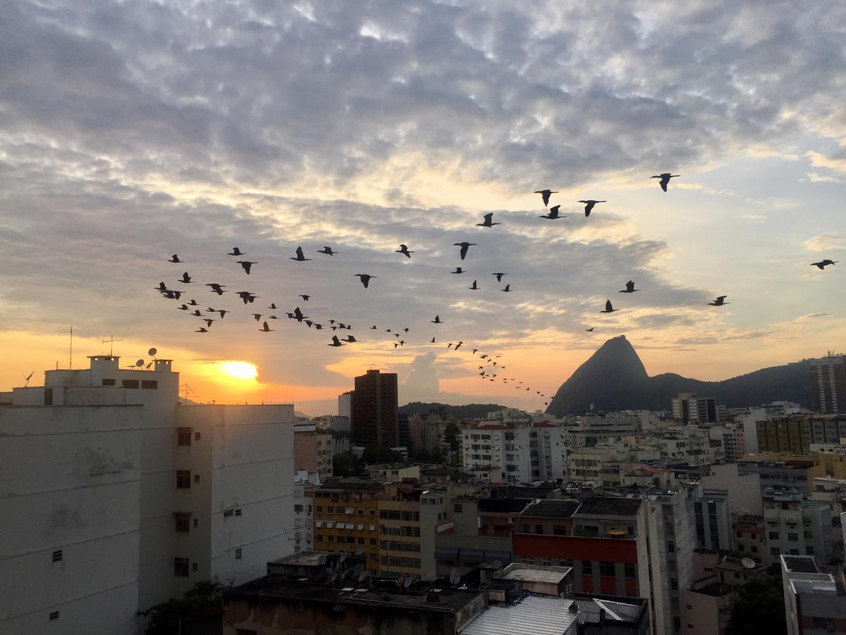 شقة Loft Catete ريو دي جانيرو المظهر الخارجي الصورة